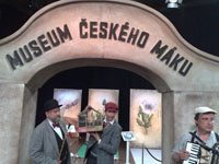 foto298_m.jpg